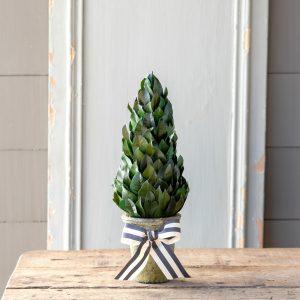 Lemon Leaf Cone Topiary, 16"