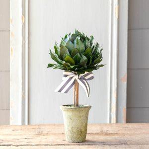 Lemon Leaf Ball Topiary, 16"