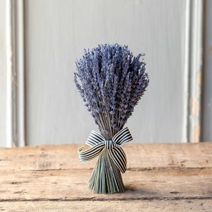 Dried Lavender Bundle with Ribbon, Small