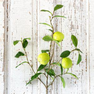 Quince Fruit Branch, Set of 2