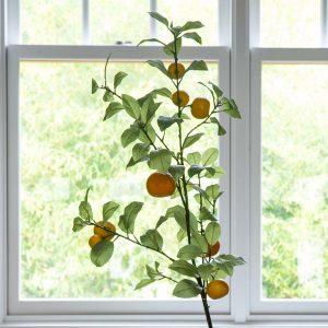 Tangerine Branch, Set of 2
