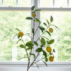 Lemon Branch, Set of 2