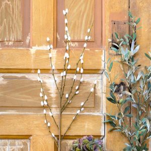 Pussy Willow Branch, Set of 2