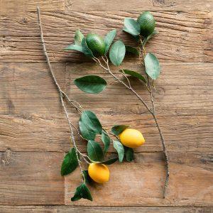Citrus Branch Lemon & Lime, 2 Sets of 2 Assorted Styles