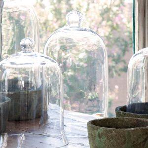 Tall Bell Jar