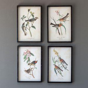Songbird On Branch Prints, 4 Assorted Styles