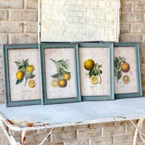 Citrus & Blossom Framed Prints, 4 Assorted Styles