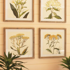 Framed Flower Prints Under Glass - Set of 4