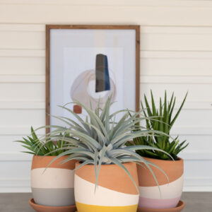 Color Dipped Clay Pots With Clay Saucers - Set of 3