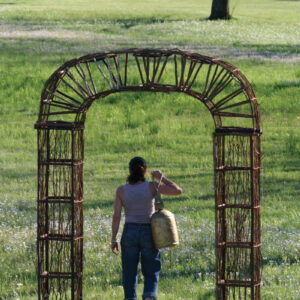 Twig and Vine Garden Archway